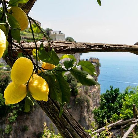 Hotel La Pergola Amalfi Buitenkant foto