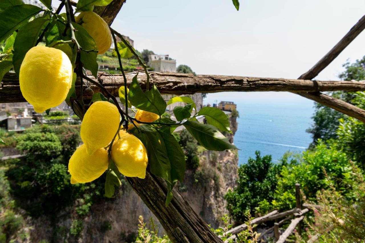 Hotel La Pergola Amalfi Buitenkant foto