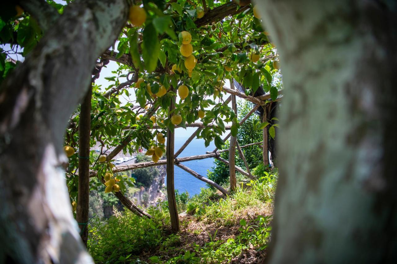 Hotel La Pergola Amalfi Buitenkant foto