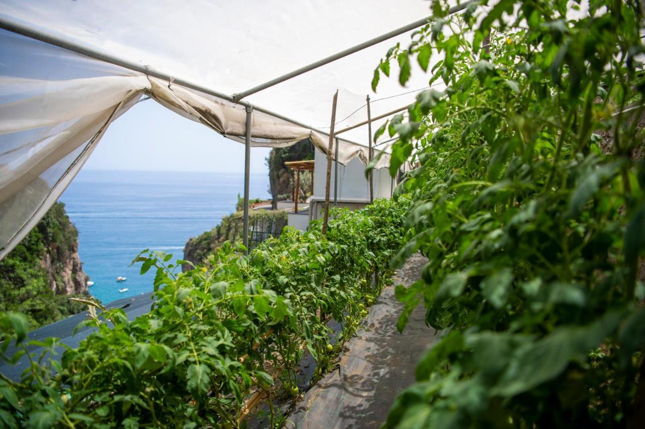Hotel La Pergola Amalfi Buitenkant foto